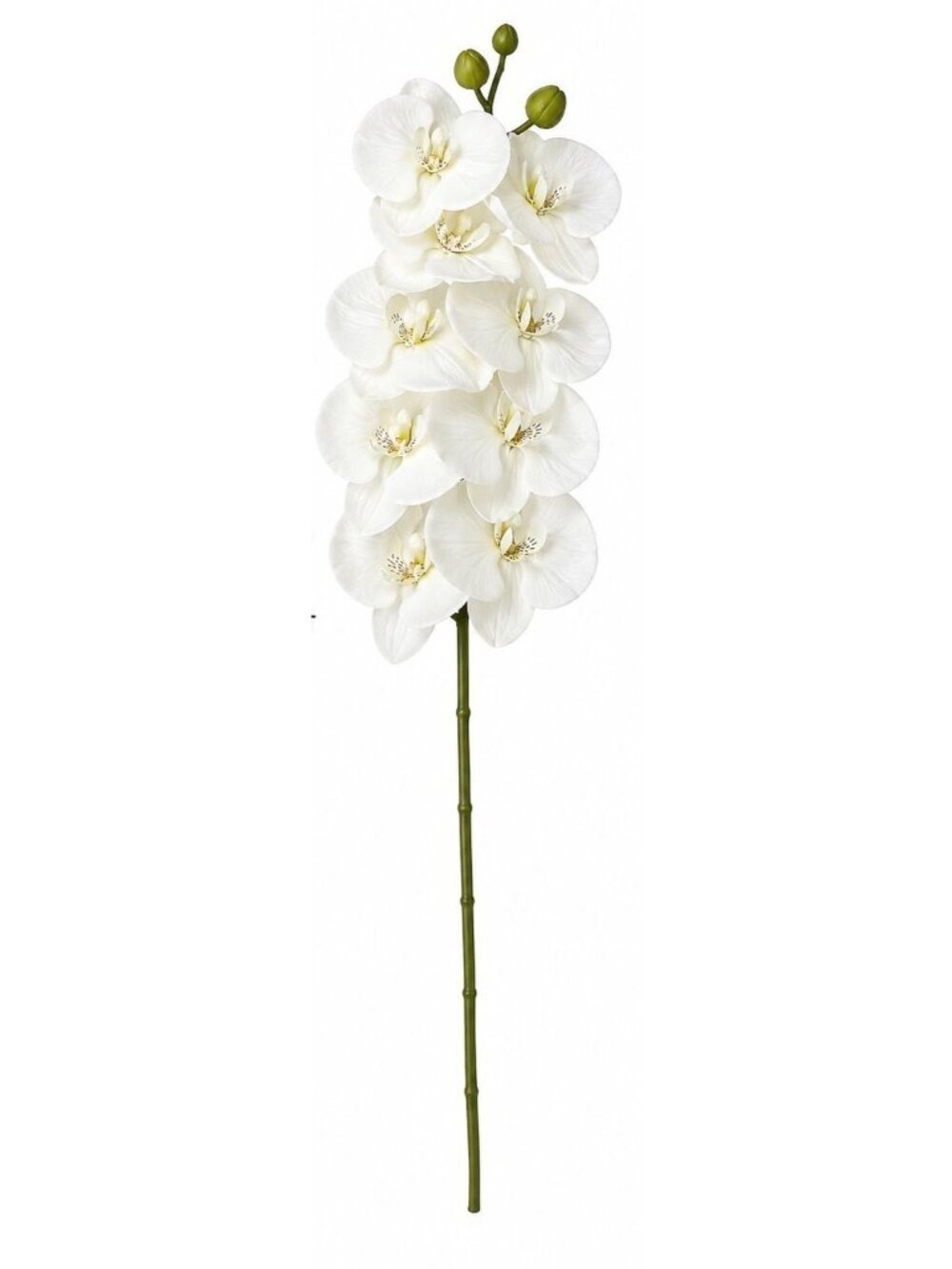 White Orchid Stem Artificial Floral Pick 26 Inch Ivory White Faux Orchid Spray